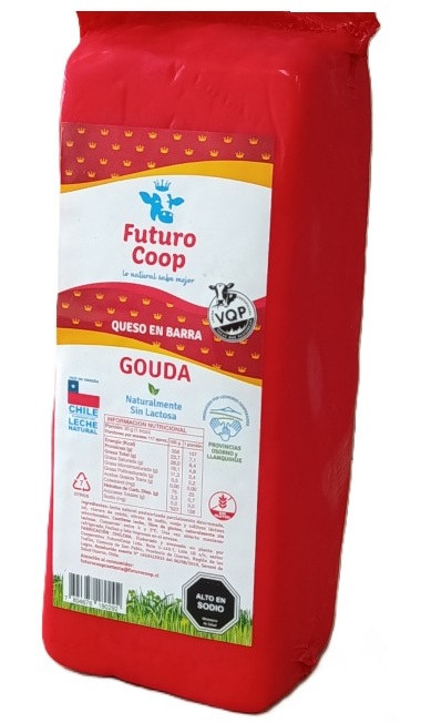 BARRA GOUDA FUTUROCOOP